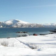 Gavlfjord-Vesteraalen