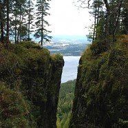 Mørkonga