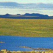 Hardangervidda – Norwegens größte Hochebene