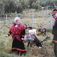 Rentierfarm Inga Sami Siida (Vesterålen)