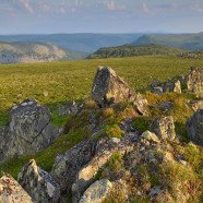 Fulufjellet- Nationalpark (Hedmark)