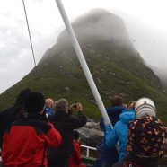 Vogelsafari rund um Bleiksøya (Vesterålen)