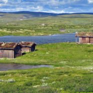 Forollhogna-Nationalpark (Sør-Trøndelag)