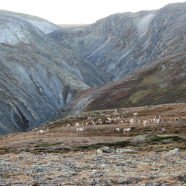 Reinheimen- Nationalpark (Oppland)