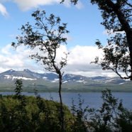 Skarvan og Roltdalen- Nationalpark (Trøndelag)