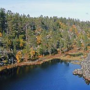 Øvre-Pasvik- Nationalpark (Finnmark)