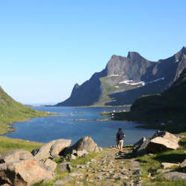 Moskenesøya – Insel der Lofoten (Nordland)