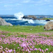 Færder- Nationalpark (Vestfold)