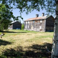 Gressåmoen-Nationalpark (Nord-Trøndelag)