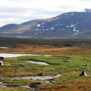 Øvre-Dividal- Nationalpark (Troms)