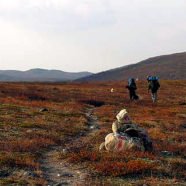 Nordkalottruta – ein grenzenloser Wanderweg